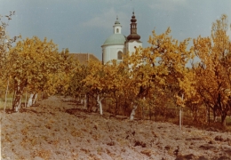 Pohled na kostel sv. Hyppolita